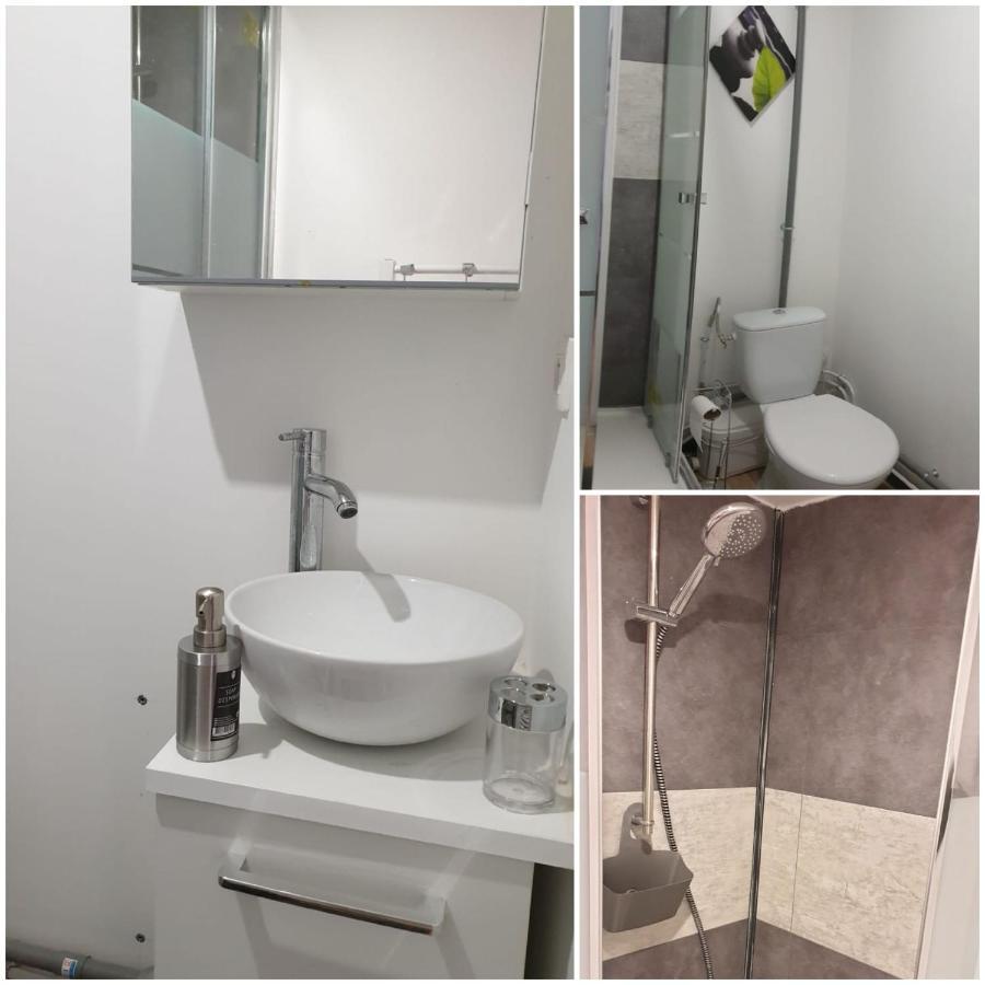 Chambres Poitiers Centre Ville - Salle De Bain, Refrigerateur, Tv Et Machine A Cafe Privatifs - Cuisine Commune - Terrasse - Hotel De Ville A 200M ภายนอก รูปภาพ